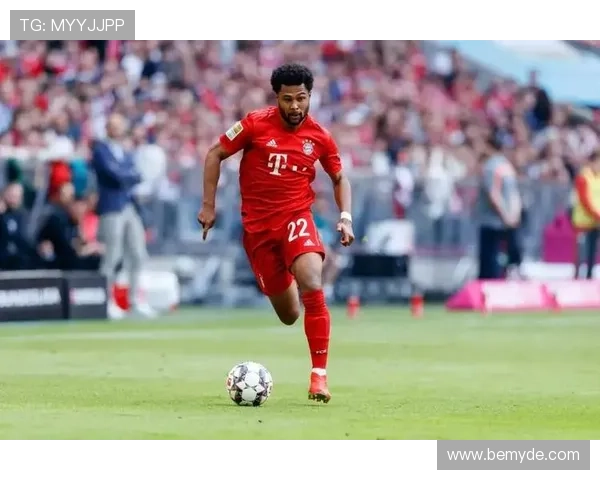 格纳布里技术全面性